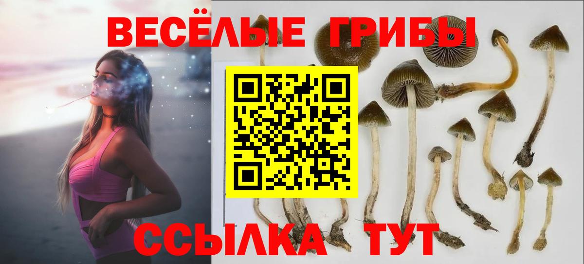 хочу   Вход с VPN  Изобильный  Галлюциногенные грибы Magic Shrooms 